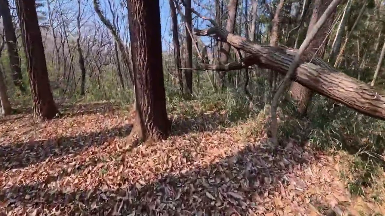神成城　群馬県富岡市　2026.2.16