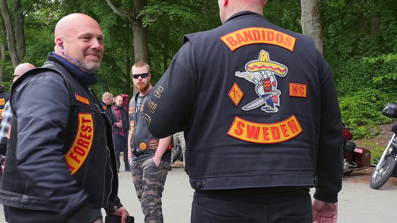RED AND GOLD FAMILY - Memory Run Peter Reindfeldt.
