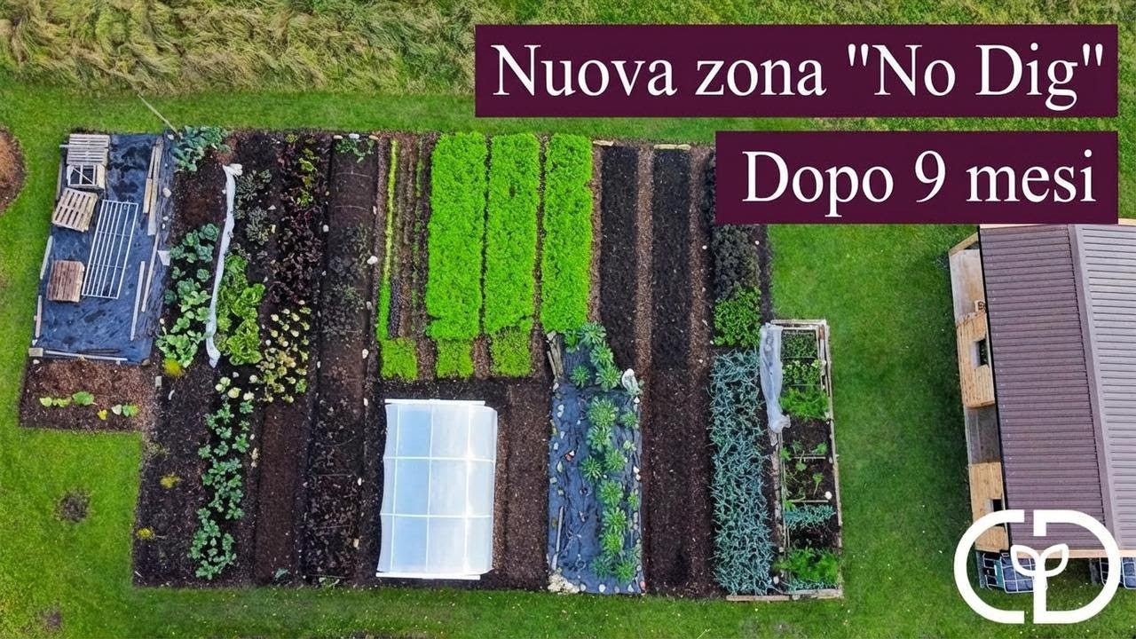 Nuova area senza vangatura: ecco i risultati dopo 9 mesi