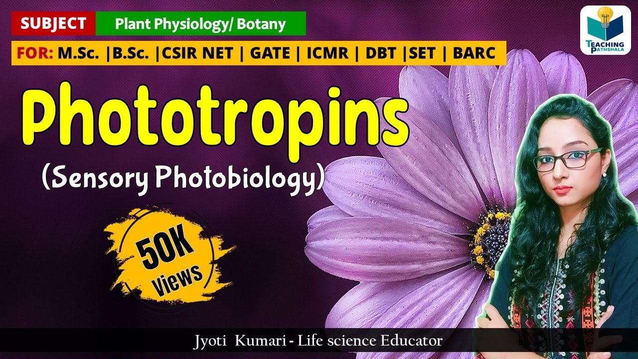 PHOTOTROPIN  || CSIR-NET | GATE |  Plant biology | sensory photobiology