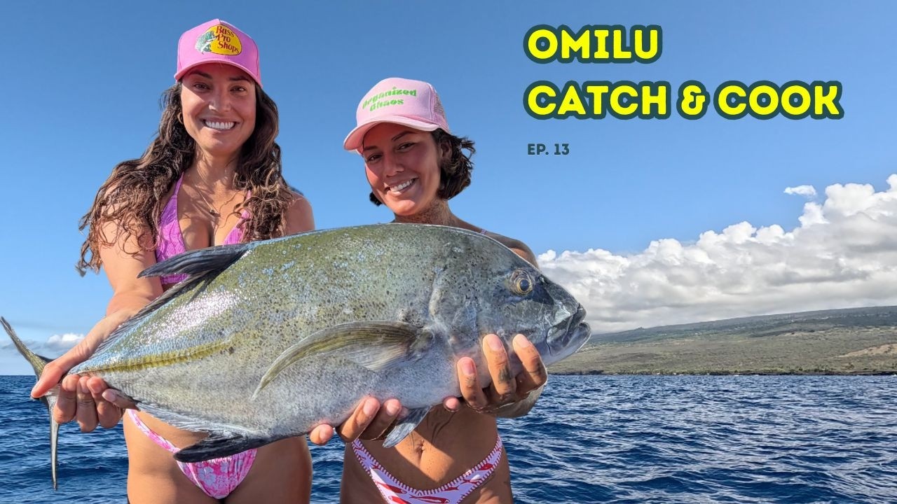 Live Bait Action | Our 1st Solid Solo Catch