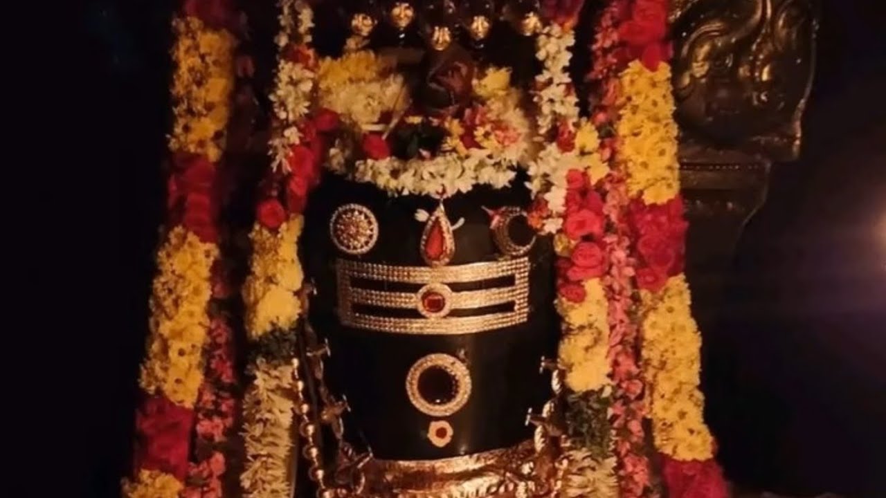“Siva Siva | சிவ சிவா | Soul Touching Shiva Bhajan in Tamil | Peaceful Devotional”