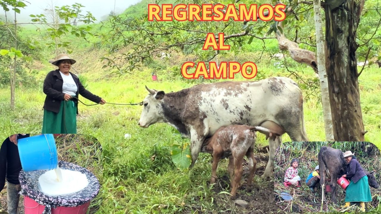 Nos fuimos a la finca a visitar a mi mamá - JOHANNA