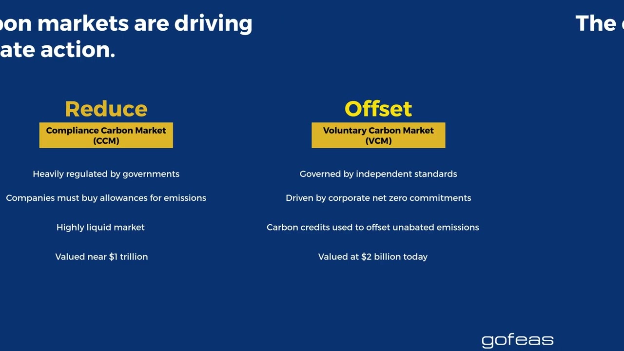 What Is Carbon Credit Insurance? | Gofeas Ltd. Explains Climate Risk Protection