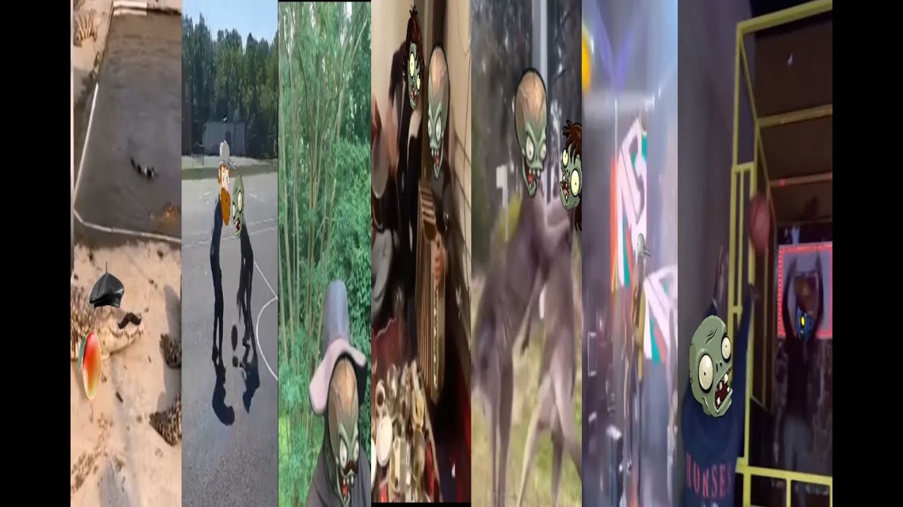 Pvz Humor Movie