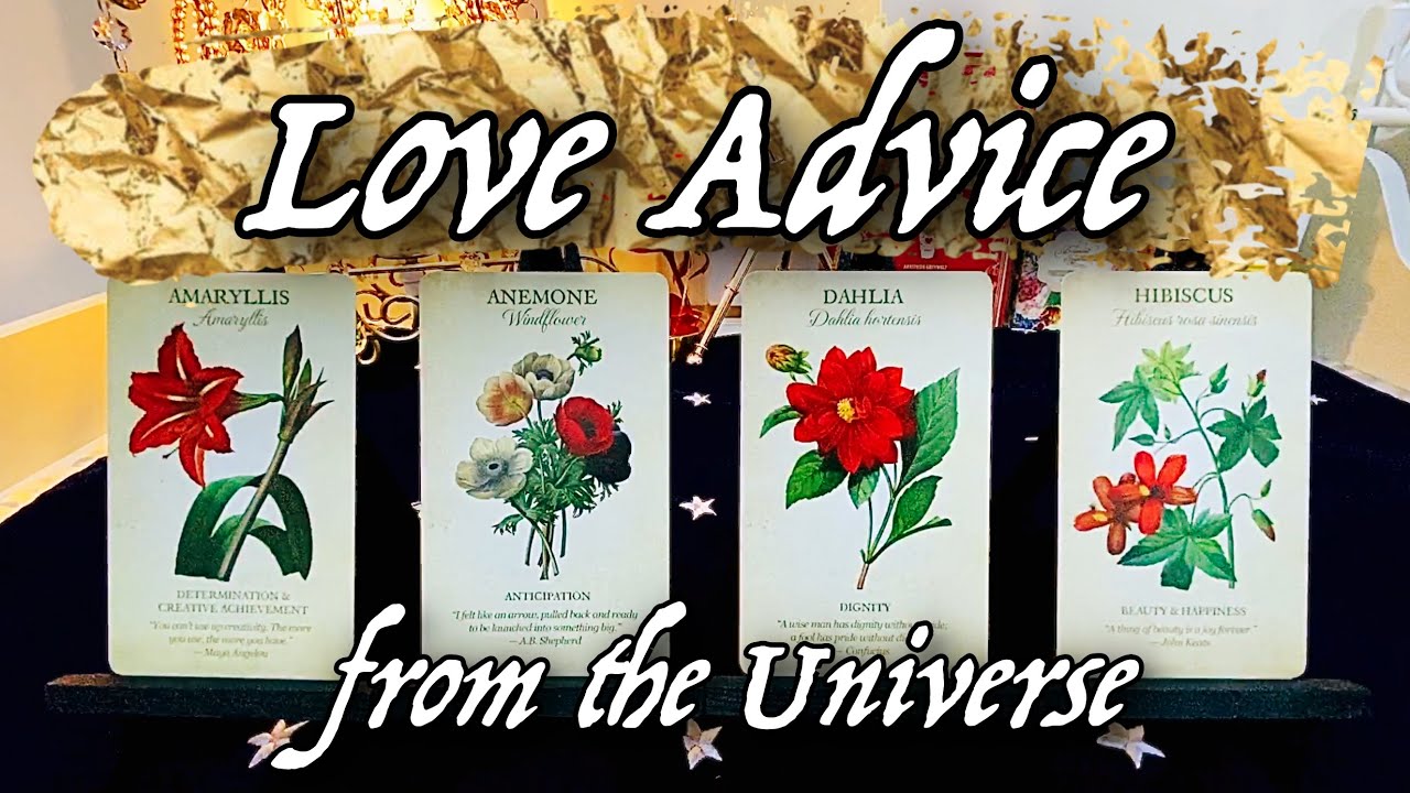 Pick a Card ❤️ LOVE ADVICE from the Universe 😍