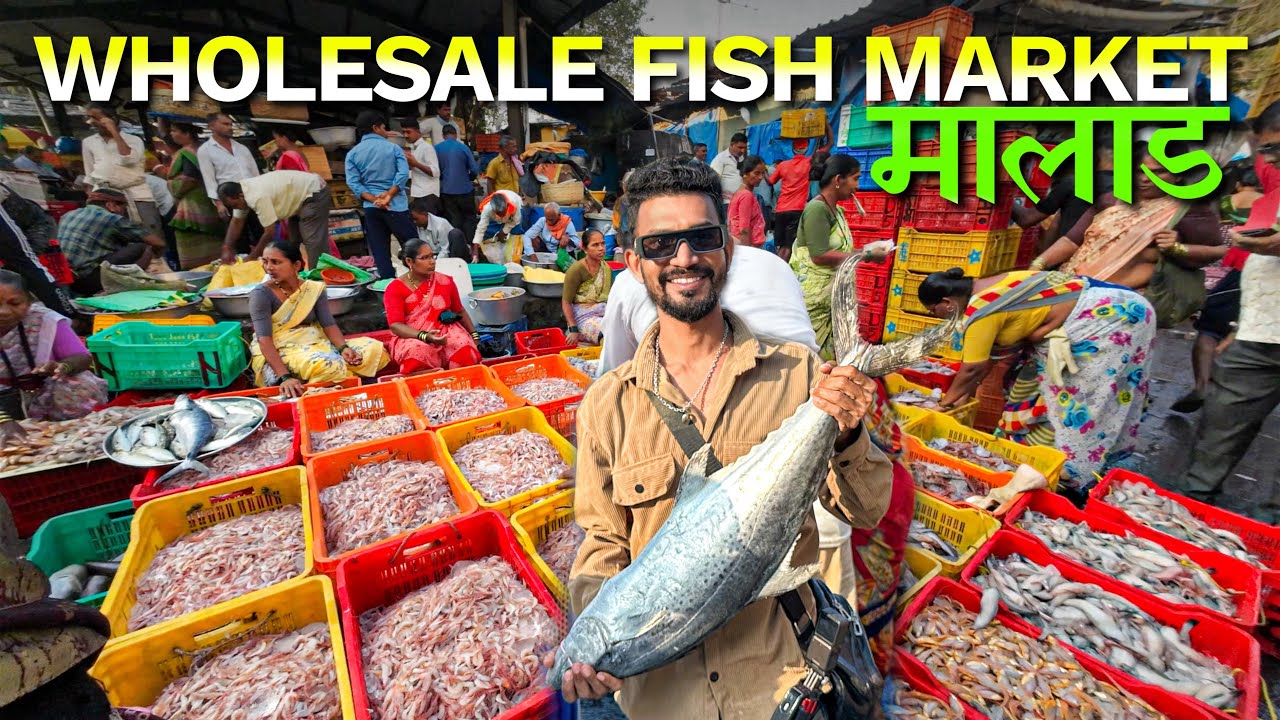 मालाड होलसेल मच्छिमार्केट | Malad Wholesale Fish Market