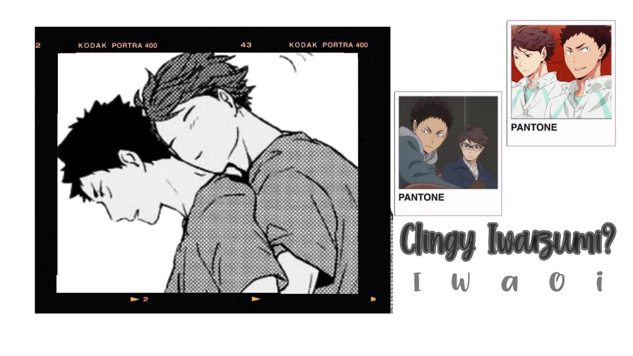 Clingy Iwaizumi? //Iwaoi fluff //ft. Tsukikage & Sakuatsu//Thanks for 500+ sub (sorry if its short)