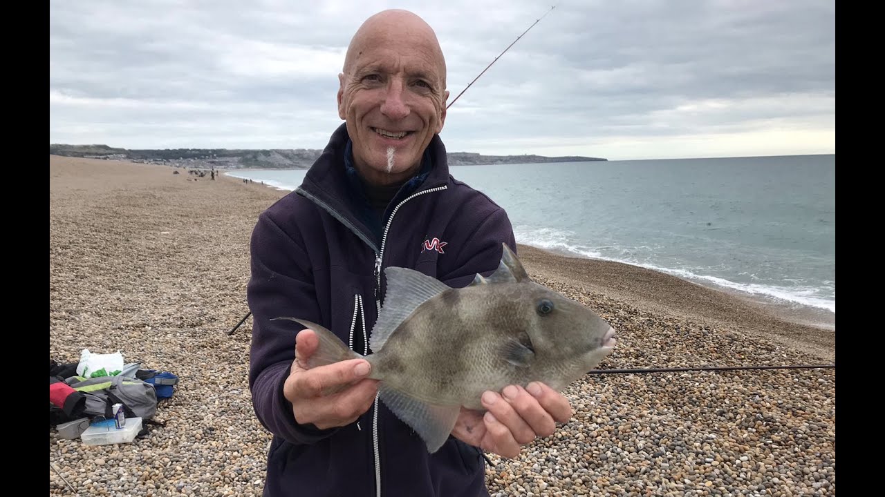 Trigger Happy  Sea Fishing Chesil Beach  September 2022