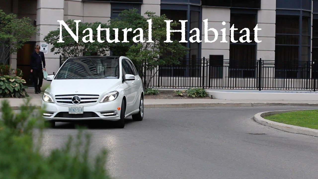 Car Review: 2014 Mercedes-Benz B250 | Driving.ca