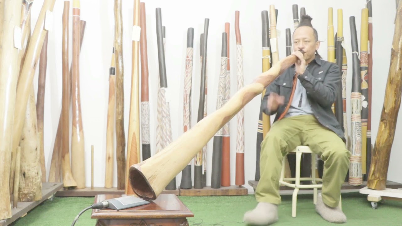 Earl Clements Didgeridoo key of D webcode 7611