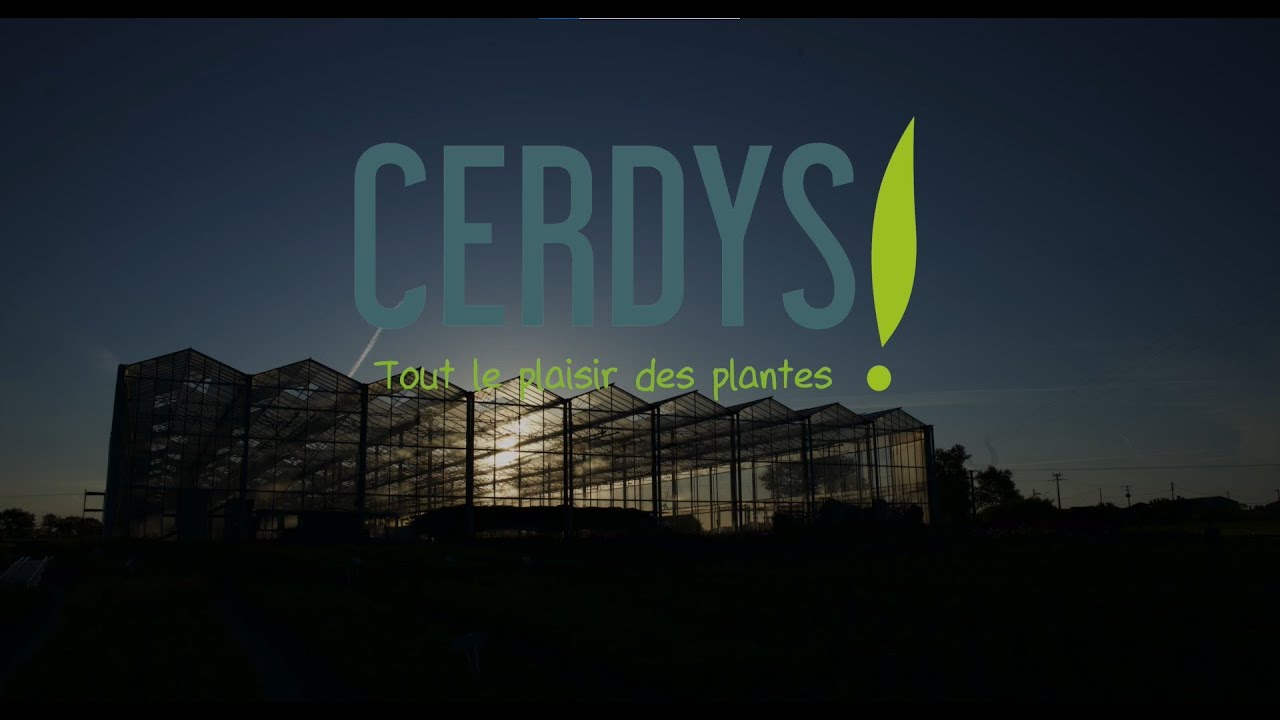 Découvrez CERDYS