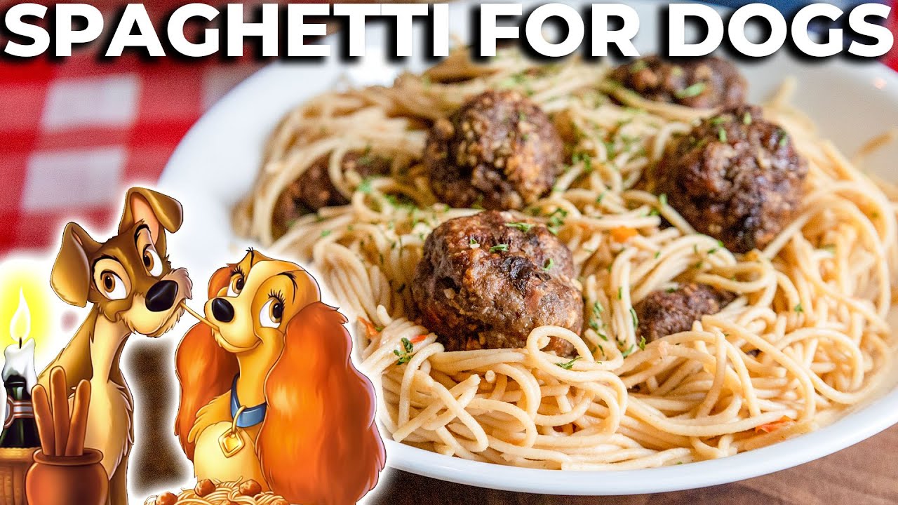 I Recreated the&nbsp;Lady and the Tramp&nbsp;Spaghetti Scene for My Dog ✨ Fictional Feasts