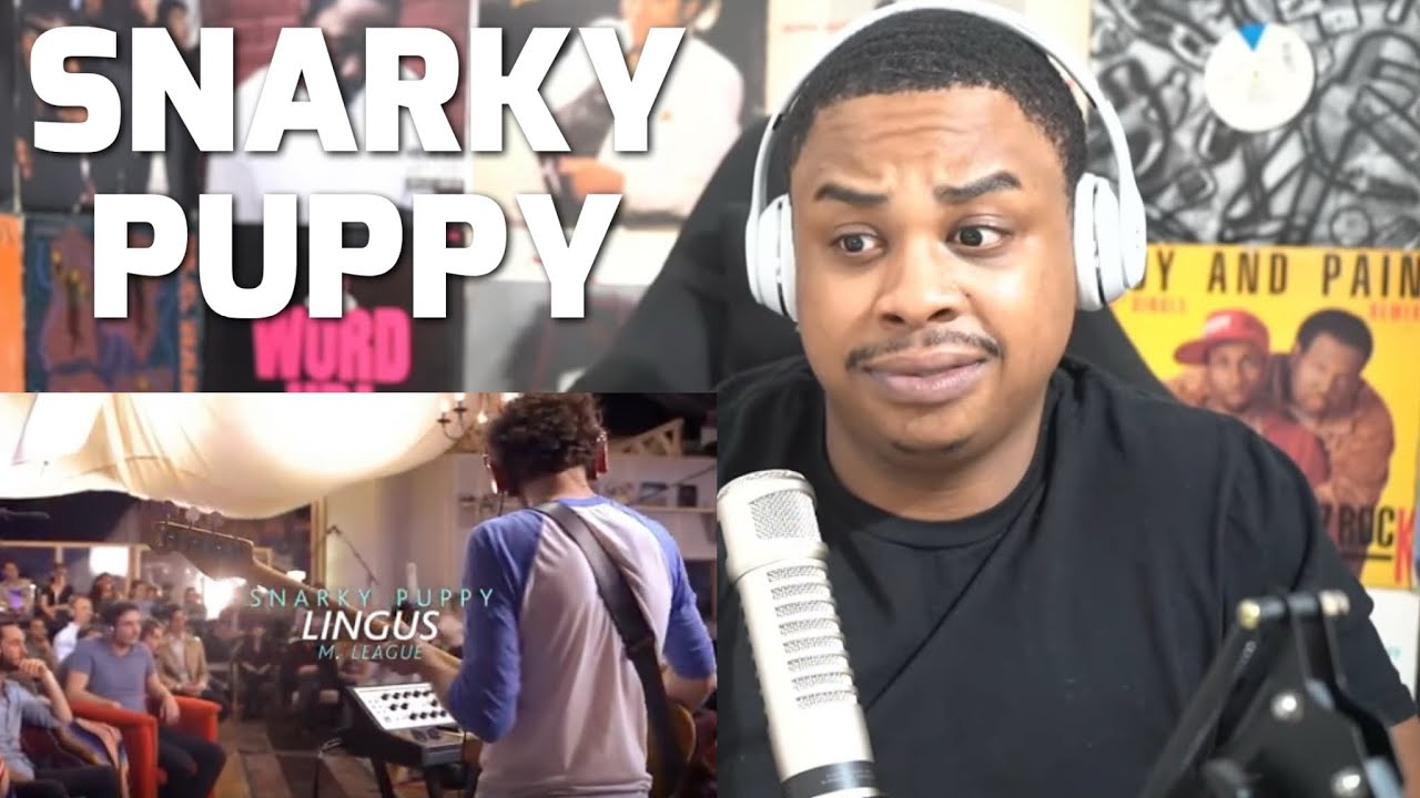 SNARKY PUPPY - LINGUS | REACTION