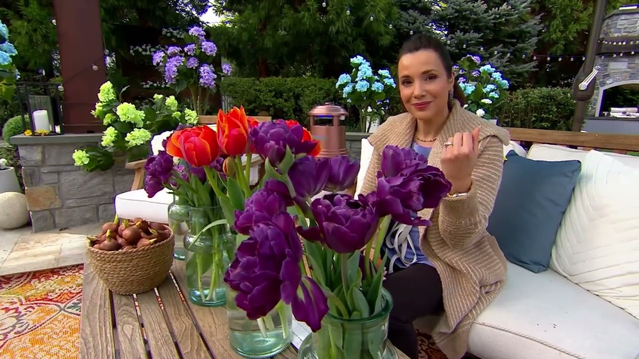 Ships 10/2 Bloomeffects 25-Piece Double Royal Tulip Bulbs on QVC
