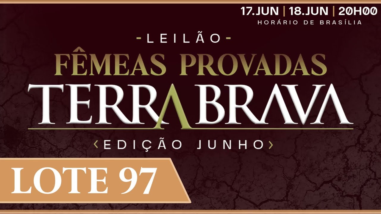 LOTE 97   LMRZ 31