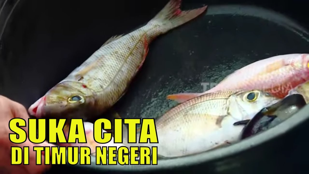 SUKA CITA DI TIMUR NEGERI | JEJAK PETUALANG (30/09/20)