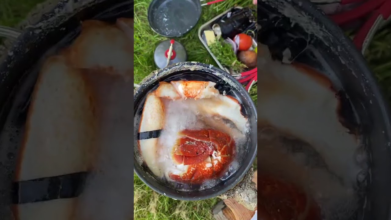 Mad p&aring; trangia: Hummer i pita med coleslaw, tomat & avocado  trangia 🦞🤤