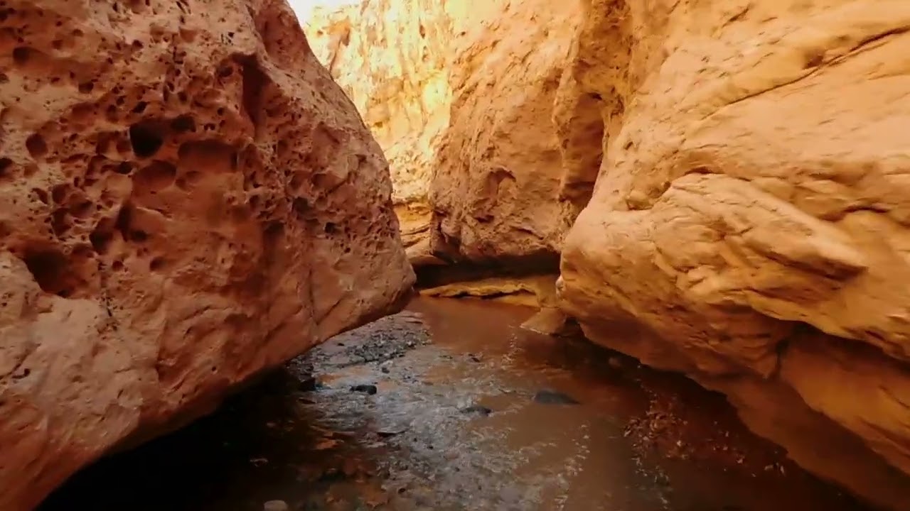 Lost Footage 3 | Crystal Cove, Joshua Tree, Cathedral Gorge, and More!