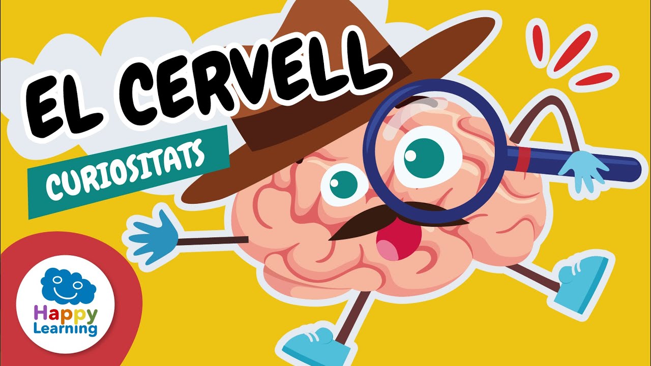 🧠 Per què el teu CERVELL és tan ESPECIAL? CURIOSITATS | Vídeos educatius per a nens