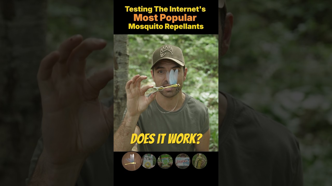 Which Mosquito Repellants ACTUALLY Work&hellip;. (and which don&rsquo;t)