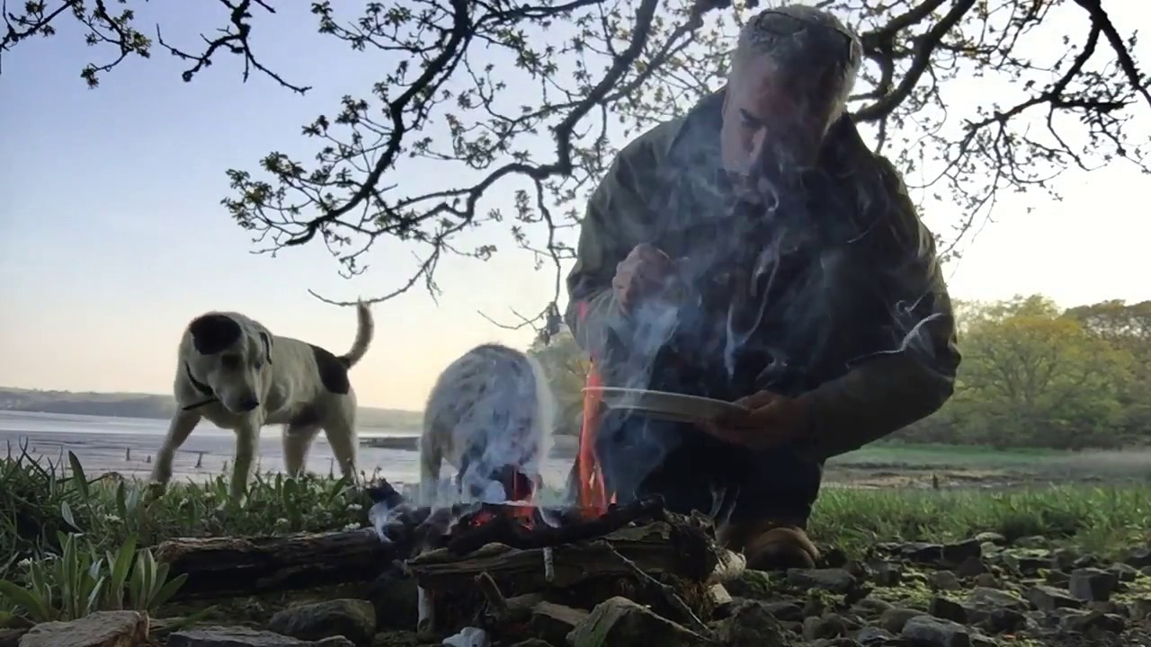 Cooking Sea Aster