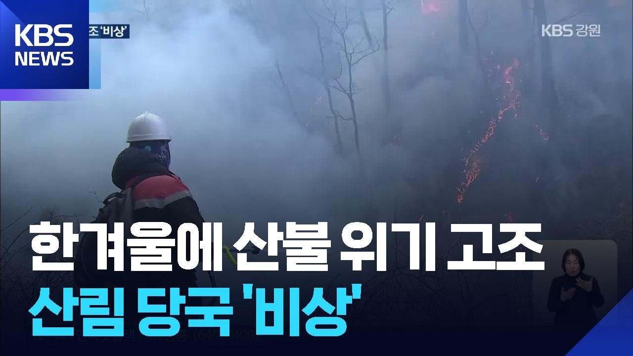 ‘실효습도 20%’ 한겨울 산불 위기 고조…‘비상’ / KBS  2026.02.02.
