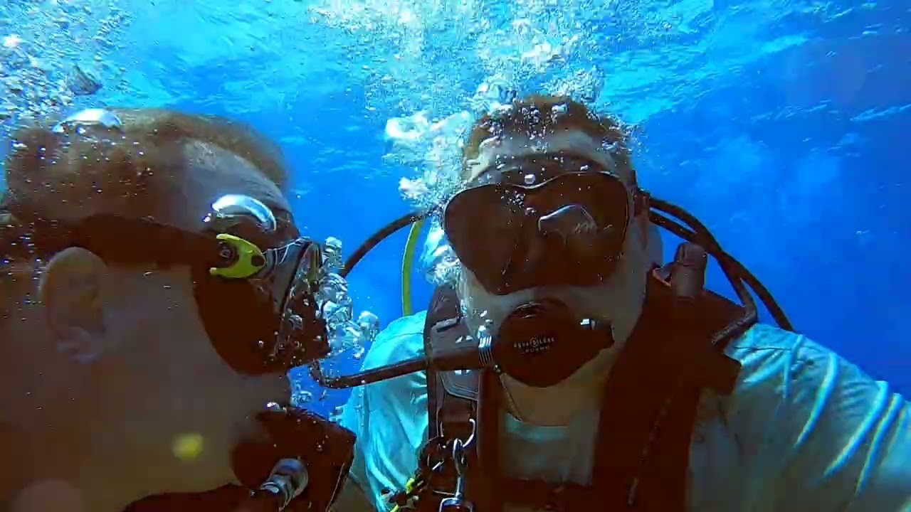 Scuba Diving with Sandals Royal Bahamian at Various Dive Sites and Sharks!    SUBSCRIBE TO CHANNEL! 