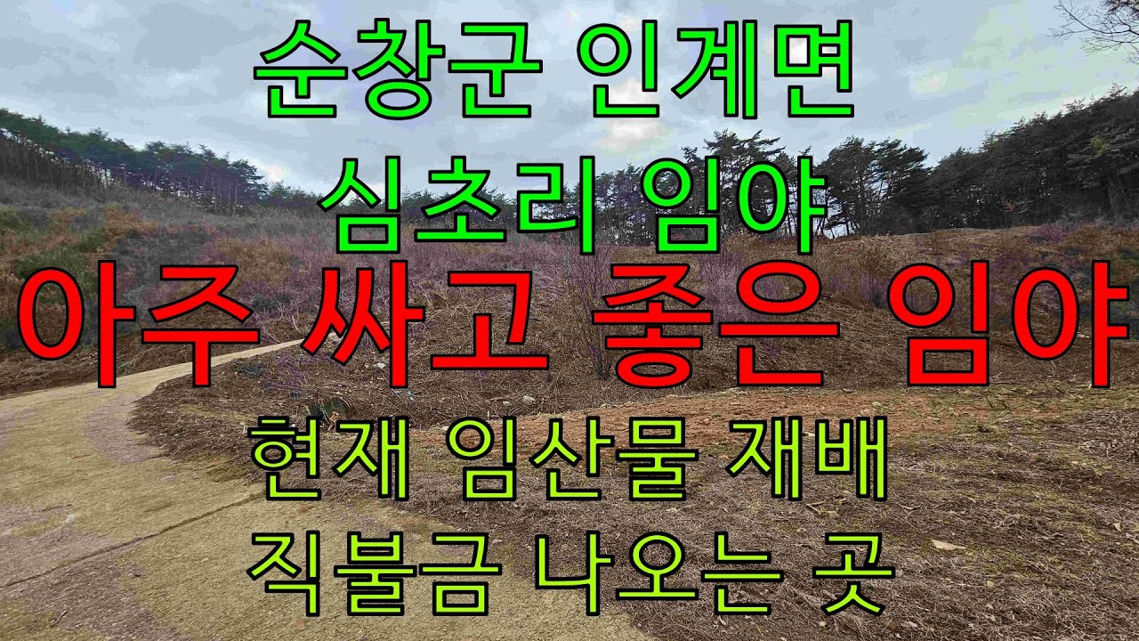 (임야매매) 순창군 인계면 심초리 임야 매매합니다