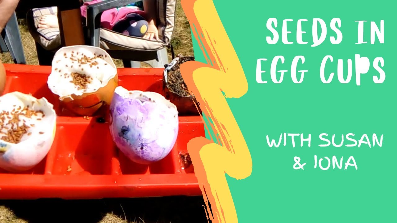 Seeds in Egg Cups | Gardening with Propagate