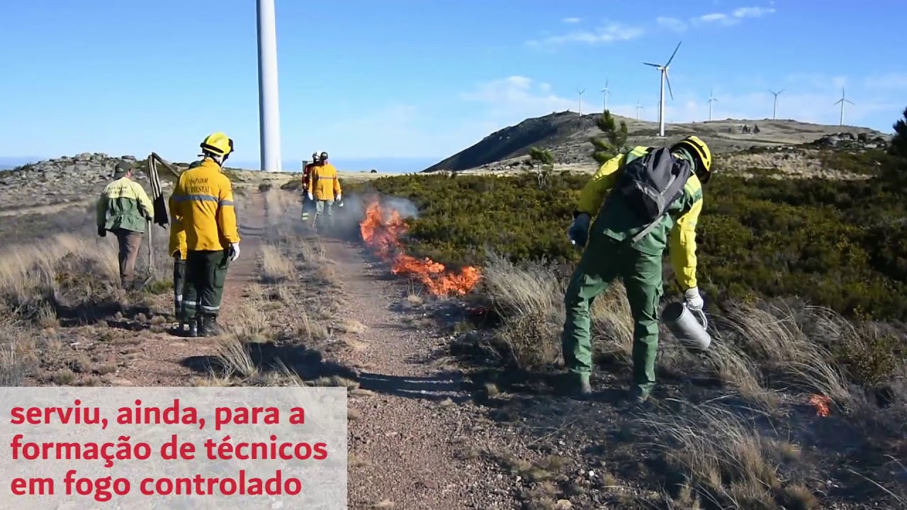 Ações de fogo controlado no Minhéu