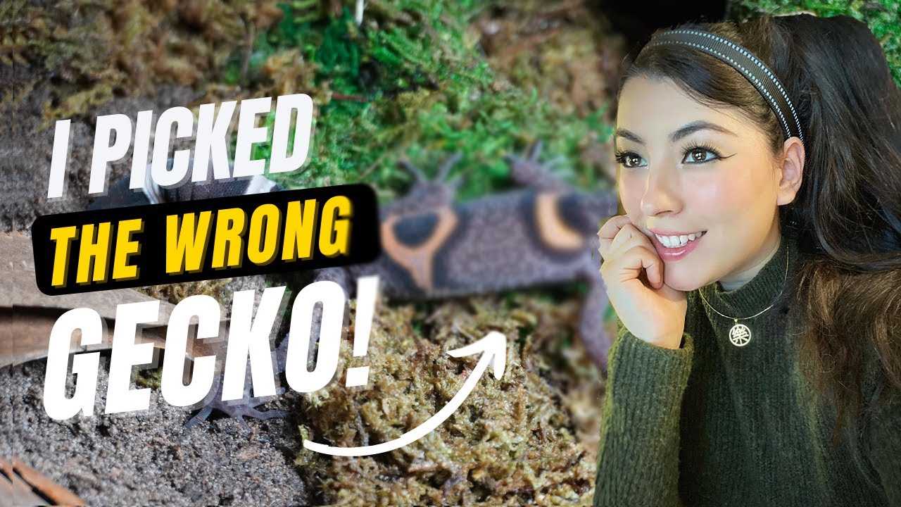 I Bought The WRONG Pet Gecko! Oops...
