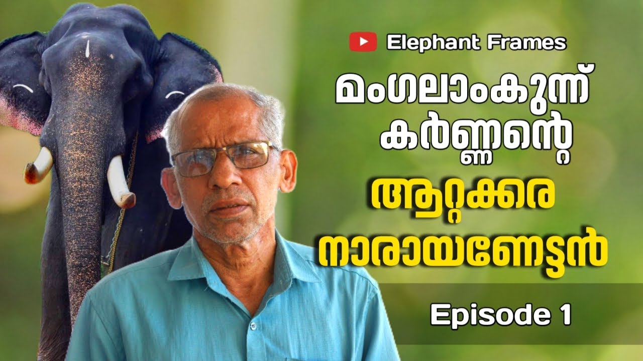 മംഗലാംകുന്ന് കർണ്ണന്റെ ആറ്റക്കര  നാരായണേട്ടൻ/elephant frames/Attakkara narayanan