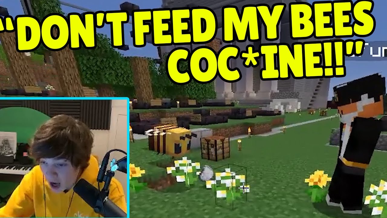 Top Tubbo, Awesamdude and Ranboo moments that made me laugh on Dream Smp!