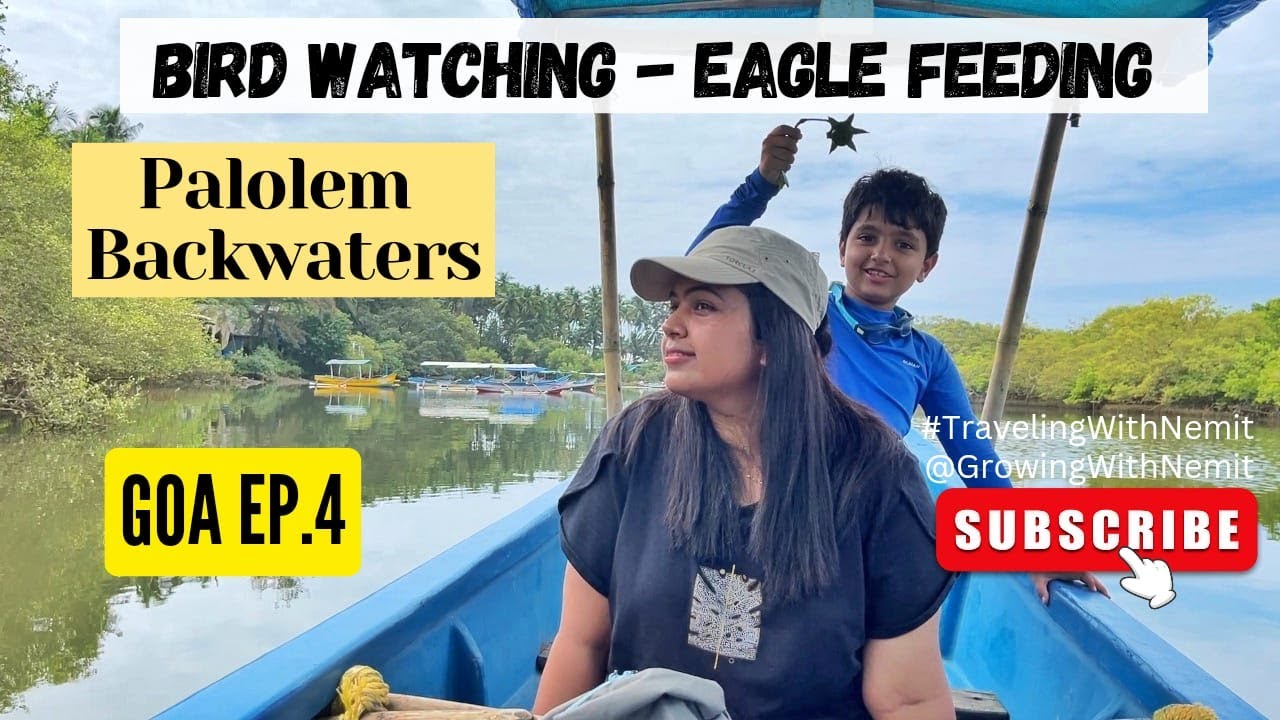 What To Do at Palolem Beach? Bird Watching | Eagle Feeding | Palolem Backwaters | South Goa | Ep 4