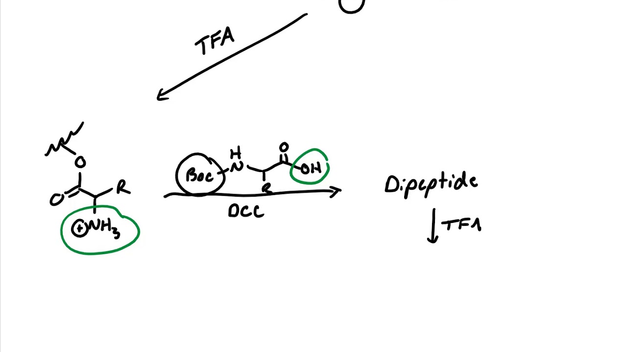 Introduction to Solid Phase Peptide Synthesis