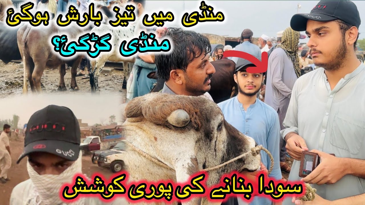 Kala Mandi Barish ke bad||Soda banany ki bharpor khosish||Mall Boht Mehga hogya|27/5/2025