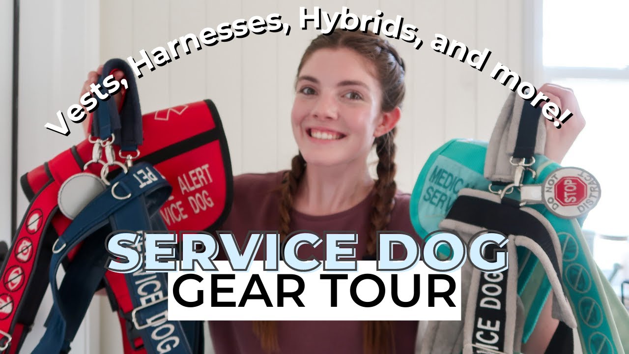 SERVICE DOG GEAR TOUR