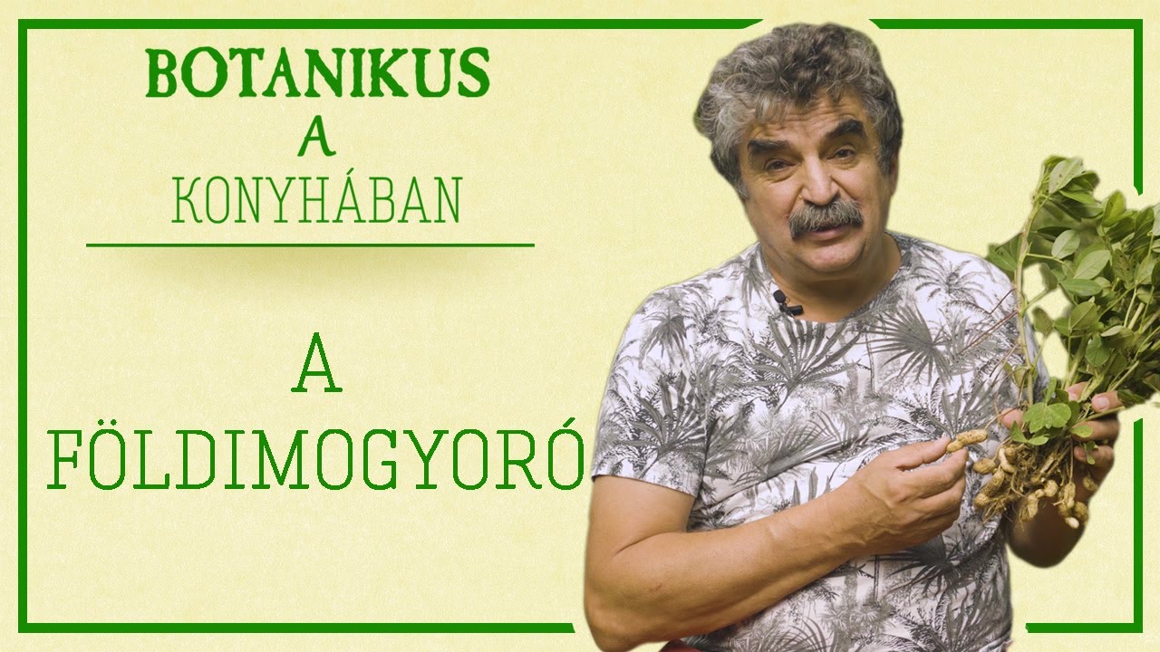 Botanikus a konyhában - 51. A földimogyoró