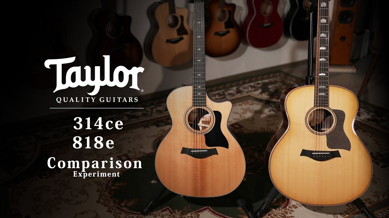 Taylor 314ce & 818e Comparison / MION experiment