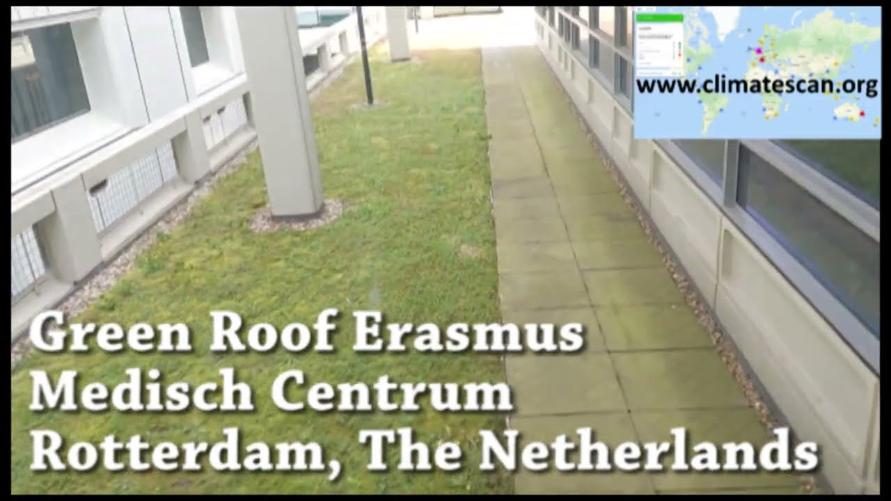 Green Roof Erasmus Medisch Centrum Rotterdam, The Netherlands