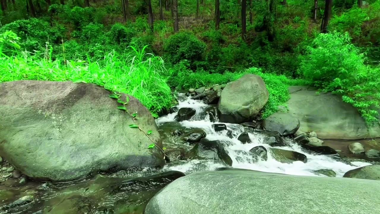Peaceful River Water Sounds – Pure Water Sounds White Noise for Relaxation & Sleep