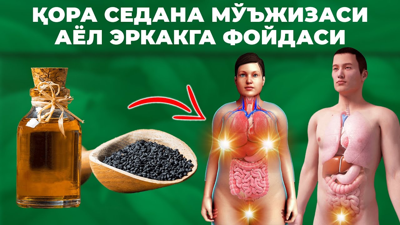 ҚОРА СЕДАНАНИНГ КУЧИ ИНСОН ОРГАНИЗИМИГА КАНДАЙ ТАЪСИР ҚИЛАДИ (ХАЛҚ ТАБОБАТИ)