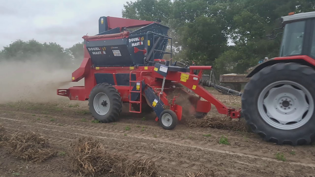 ☆Zbi&oacute;r fasoli 2019 massey ferguson& Double Master II☆