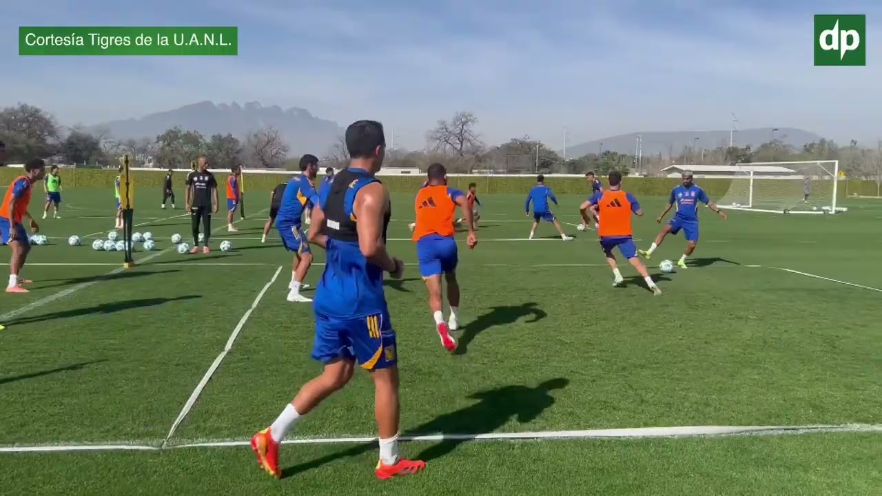 Tigres prepara su partido contra Necaxa.