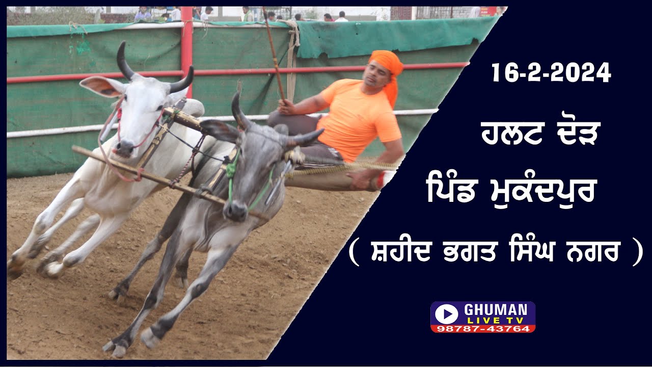 ਹਲਟ ਦੌੜ // ਪਿੰਡ ਮੁਕੰਦਪੁਰ // ਬੰਗਾ // 16-2-2024