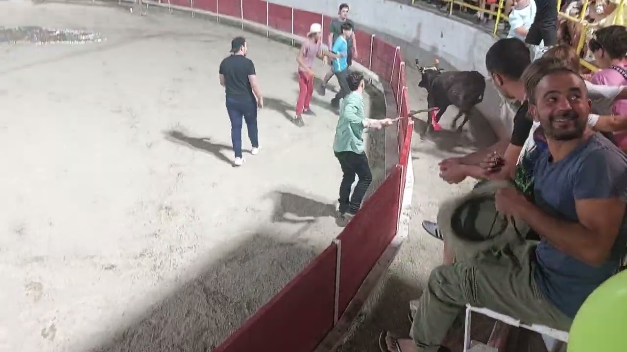 8 Août 2025 Toro Piscine Manade Labourayre À Roquemaure 
