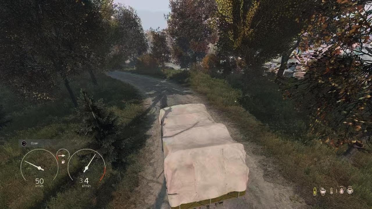 DayZ_20260129194738