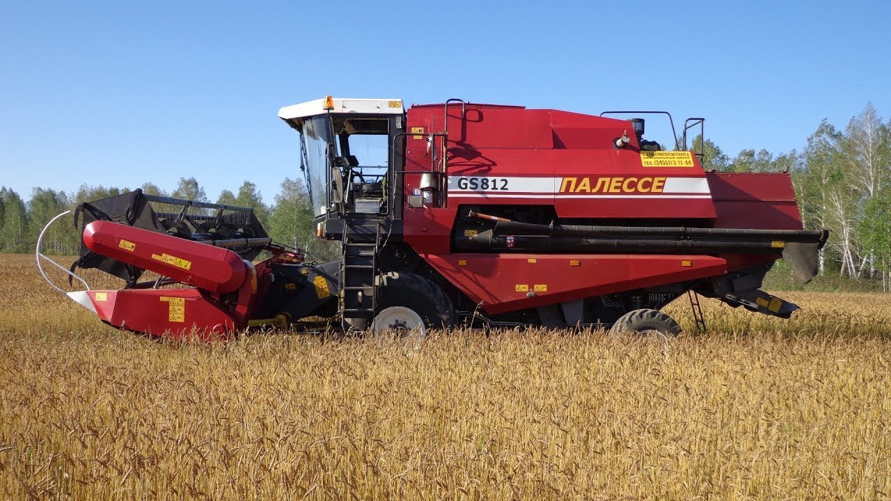 Палессе GS812 первый день//обмолот гороха напрямую