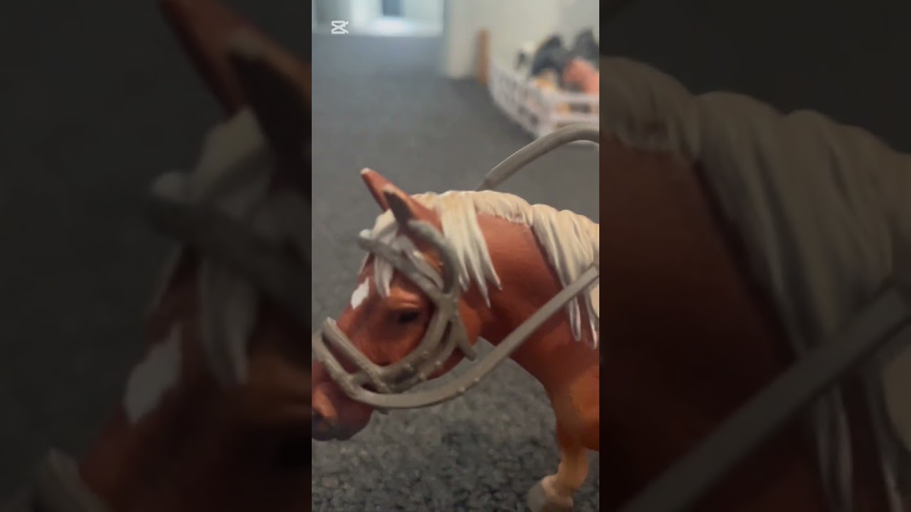 Is the canter on beat? 